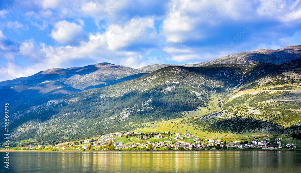 PAPIGIOTIKO BIO Borovicový med z lesů od jezera Ioannina Řecko
